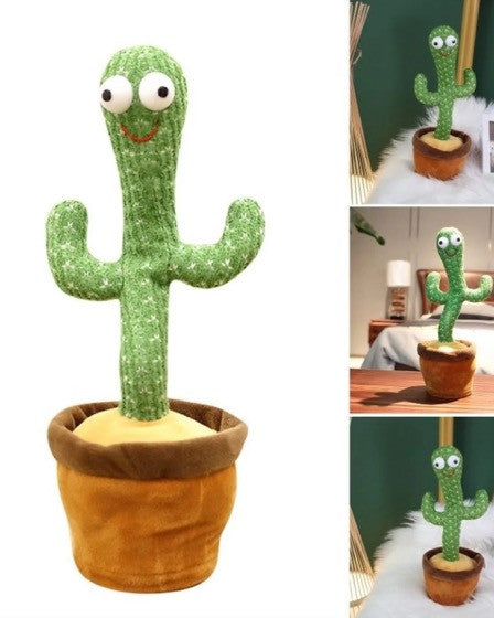 Cactus dansator si vorbitor