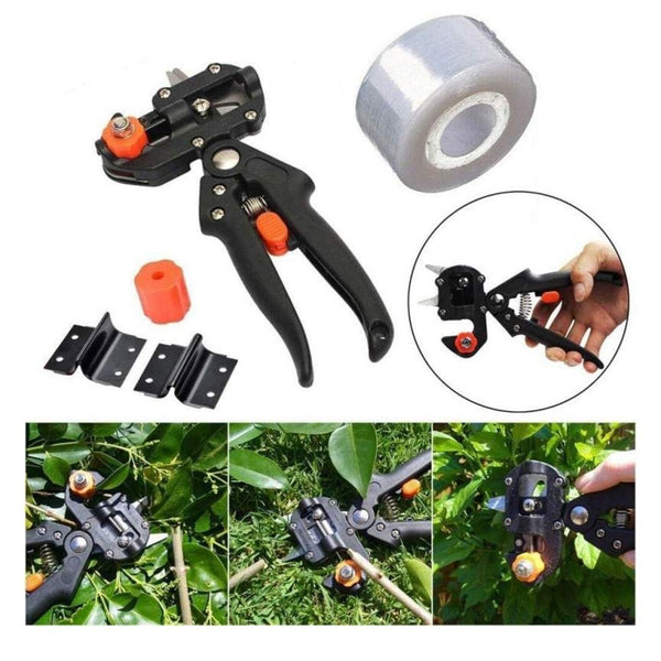 Cleste de altoit + 1 banda de altoire